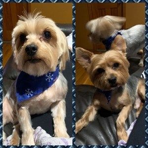 Meet your Posher, John